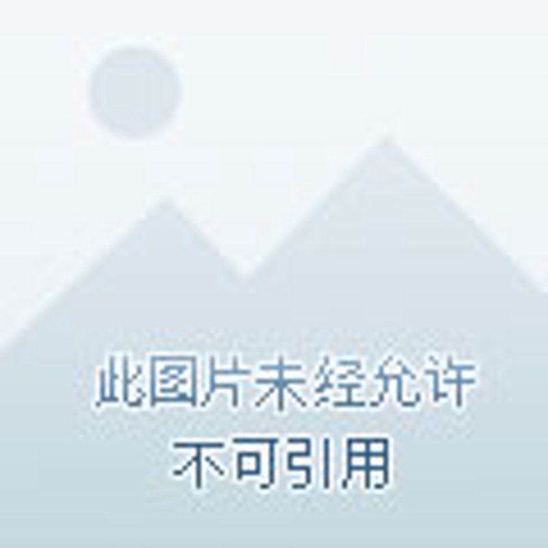 小程序定制：构建您专属的移动桥梁